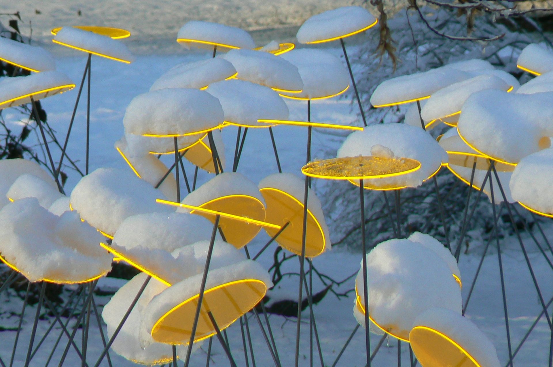 Schneehauben auf runden gelben Scheiben