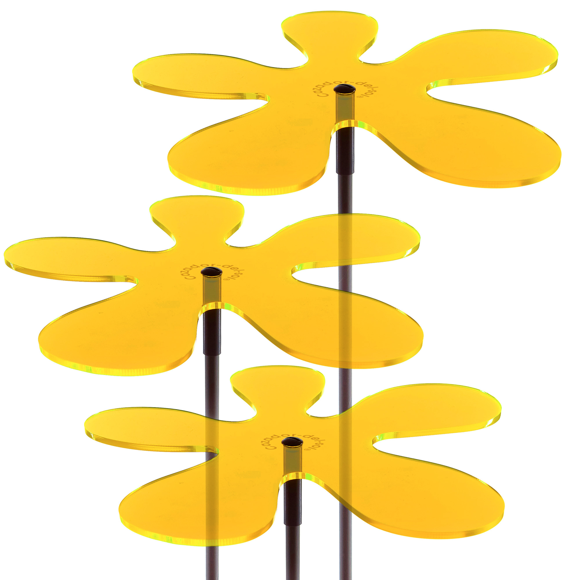 Fleur de soleil Lotta | 120 | trois | jaune