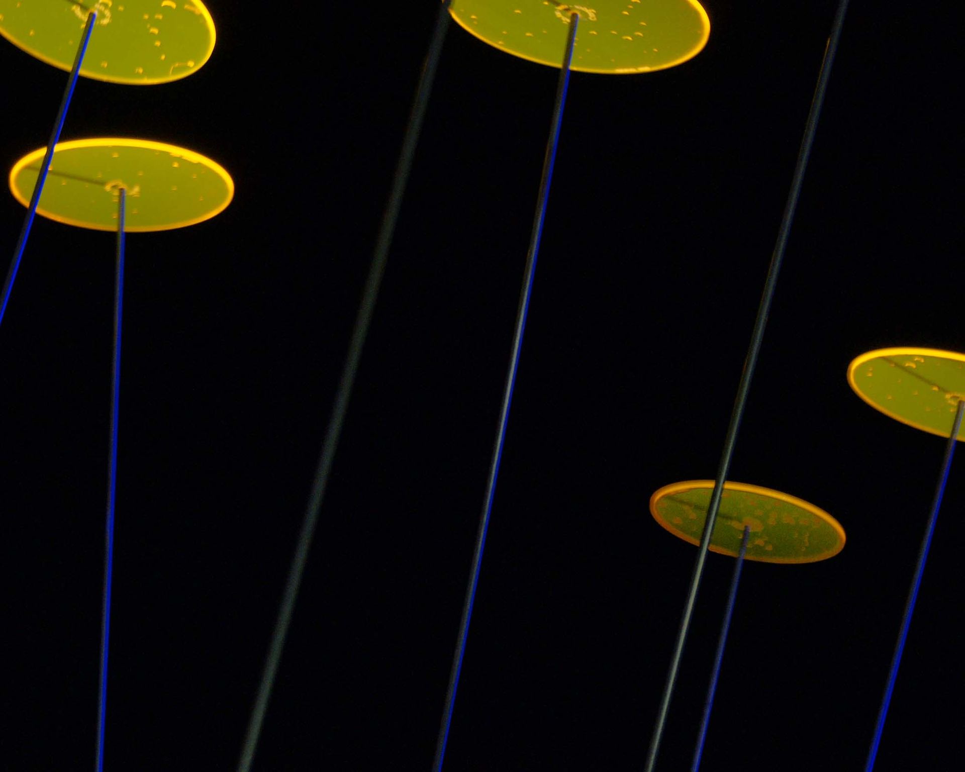yellow discs on high bars at night