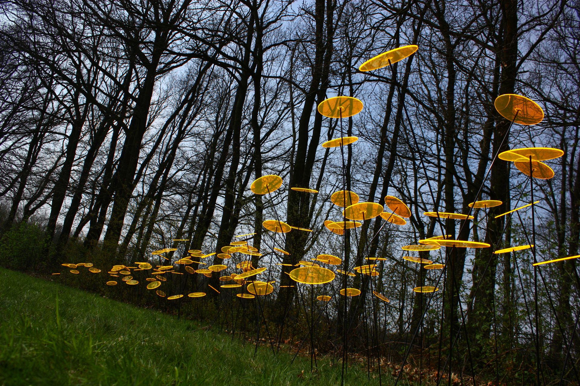 Rene Hildebrand schmückt Wald mit Sonnenfängern