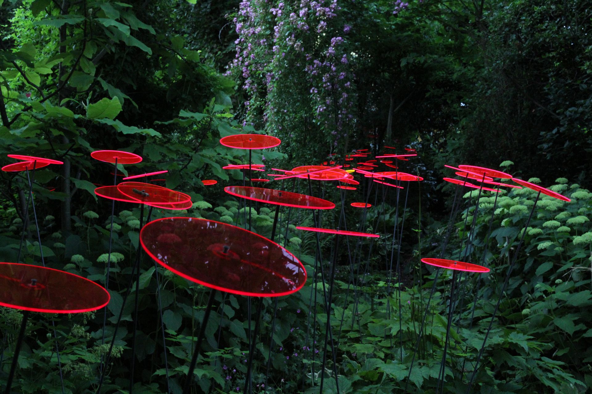 naturepark with red discs