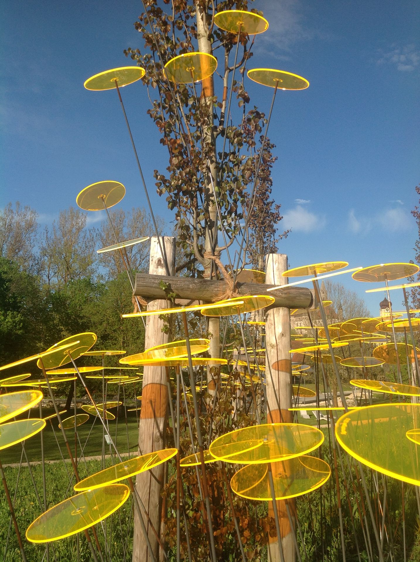 flower stick adorned with  yellow discs