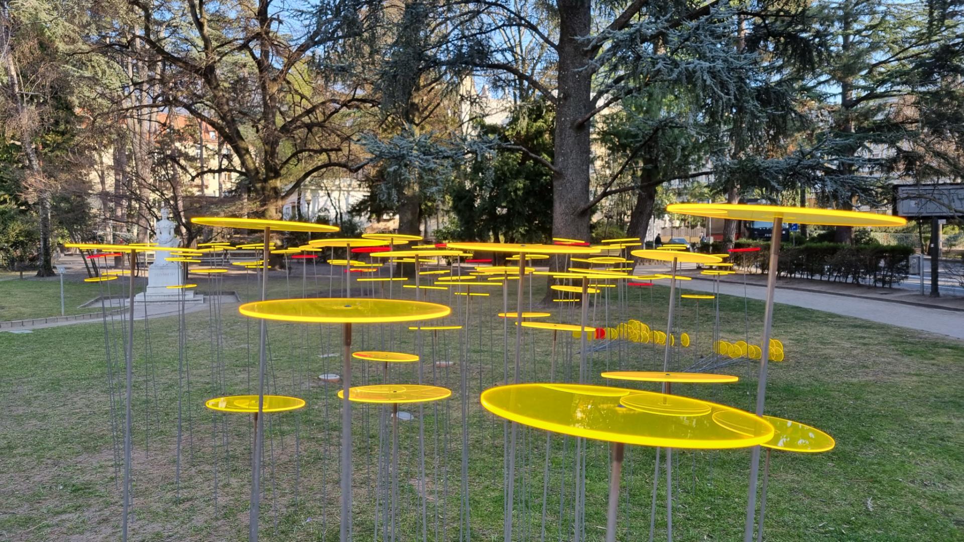 yellow discs in the park
